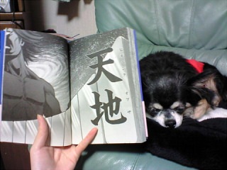 4P���J�������ƥ�